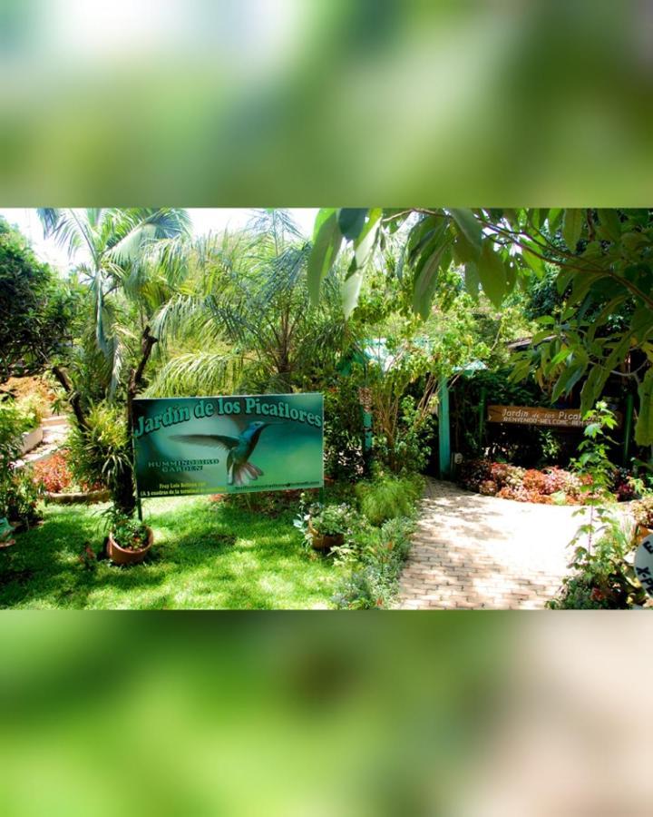 Hostel El Amanecer ปูแอร์โตอีกวาซู ภายนอก รูปภาพ